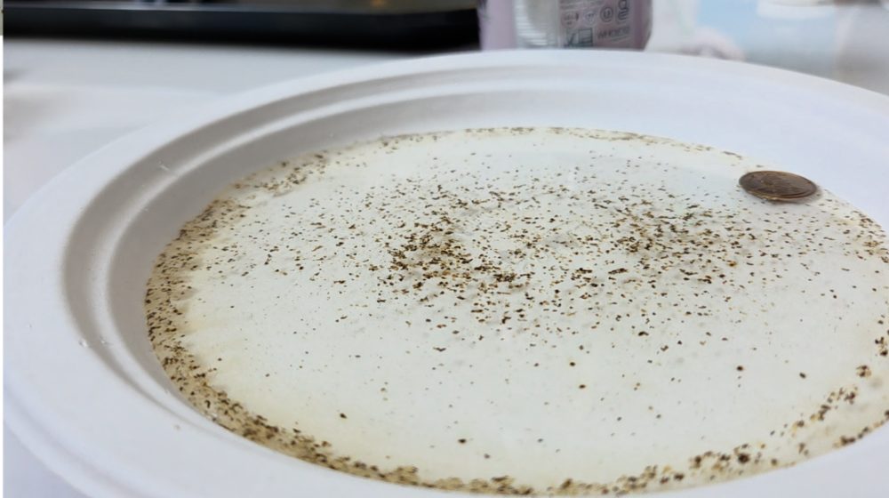 Pepper scattered across a plate of water with a penny resting at the edge