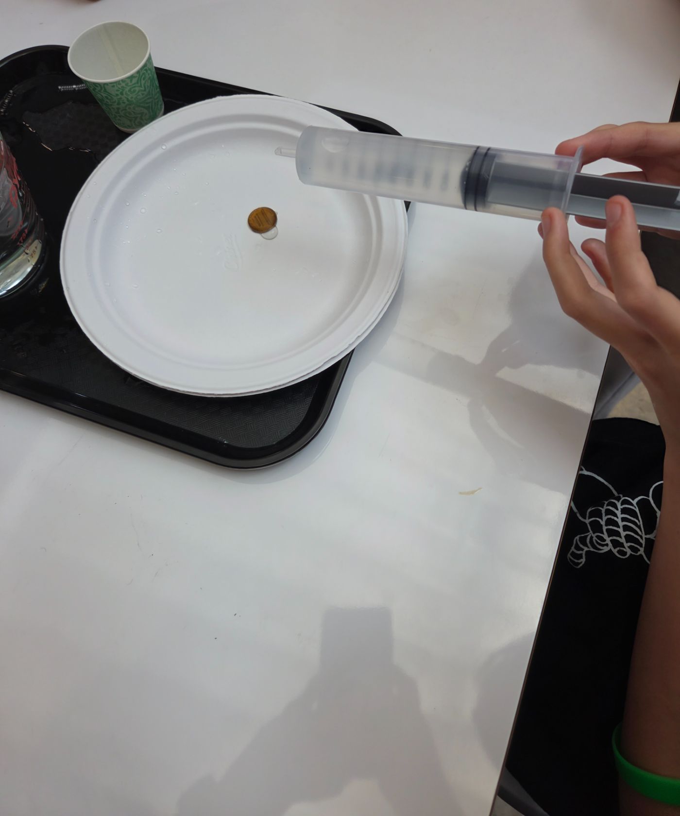 A student steadying a large syringe over a penny on a plate
