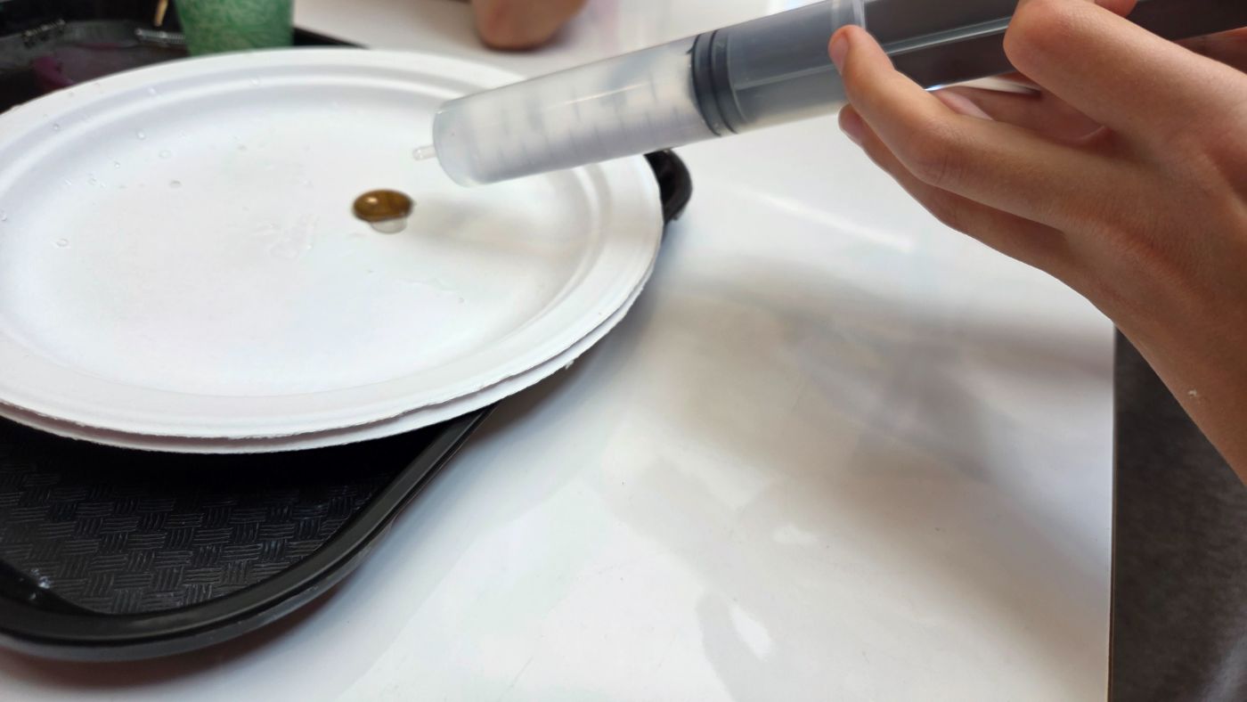 Students working at a lab table with syringes, plates, and trays